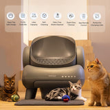 Neakasa M1 Lettiera Gatto Autopulente con App, Anti-Odore, per più Gatti